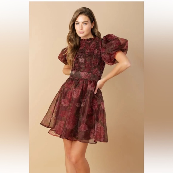 FLITTERING DREAMS WOVEN ORGANZA MINI DRESS (NWOT) - Picture 3 of 5